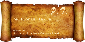 Pellionis Tekla névjegykártya
